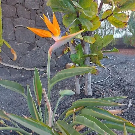 Chloe * Playa Blanca (Lanzarote)